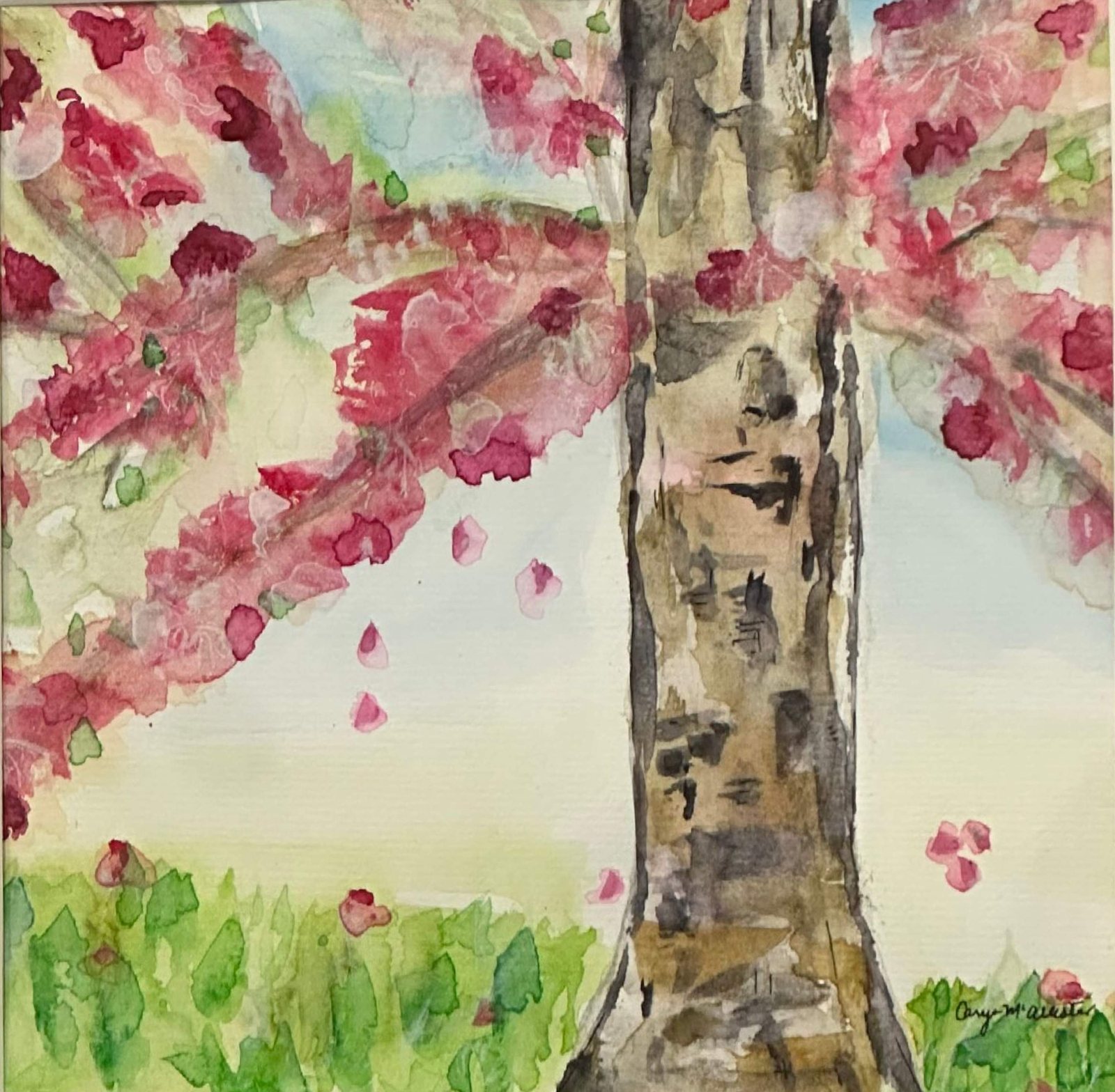 Cherry Tree — Watercolor